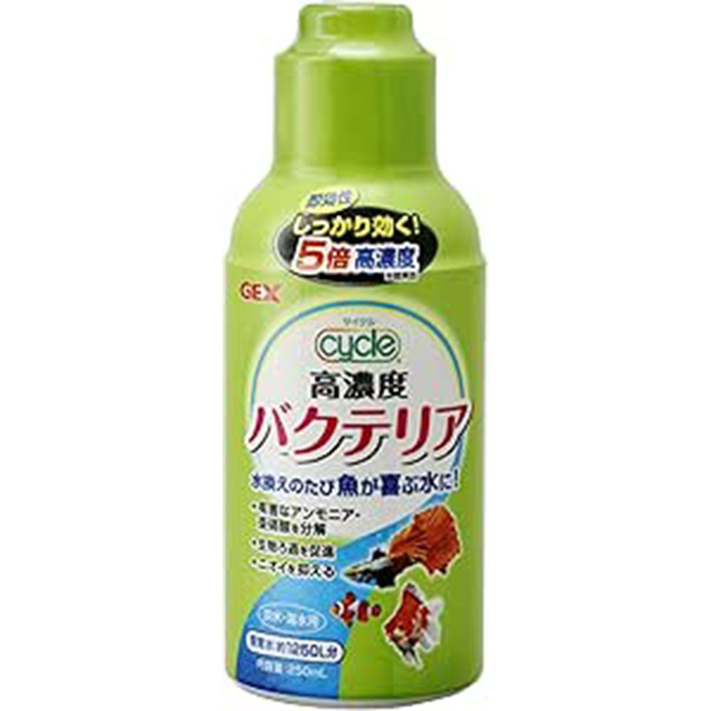 58 prime appriciate 0926